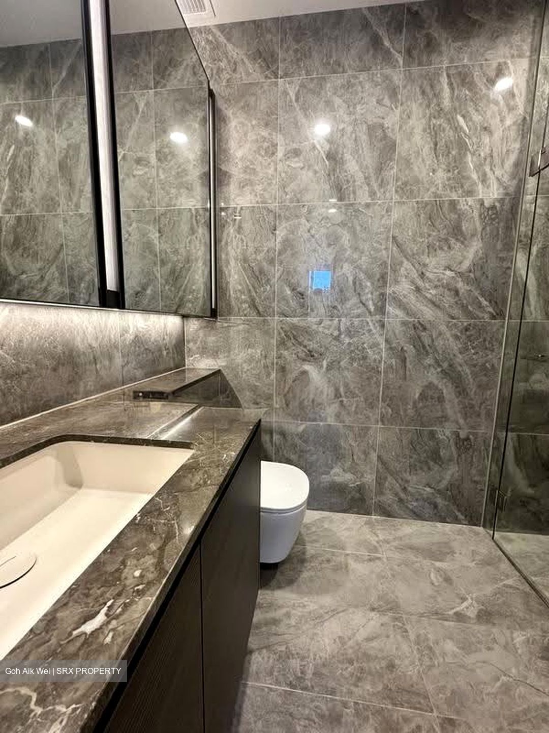 Leedon Green (D10), Condominium #610268791